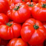 tomatoes