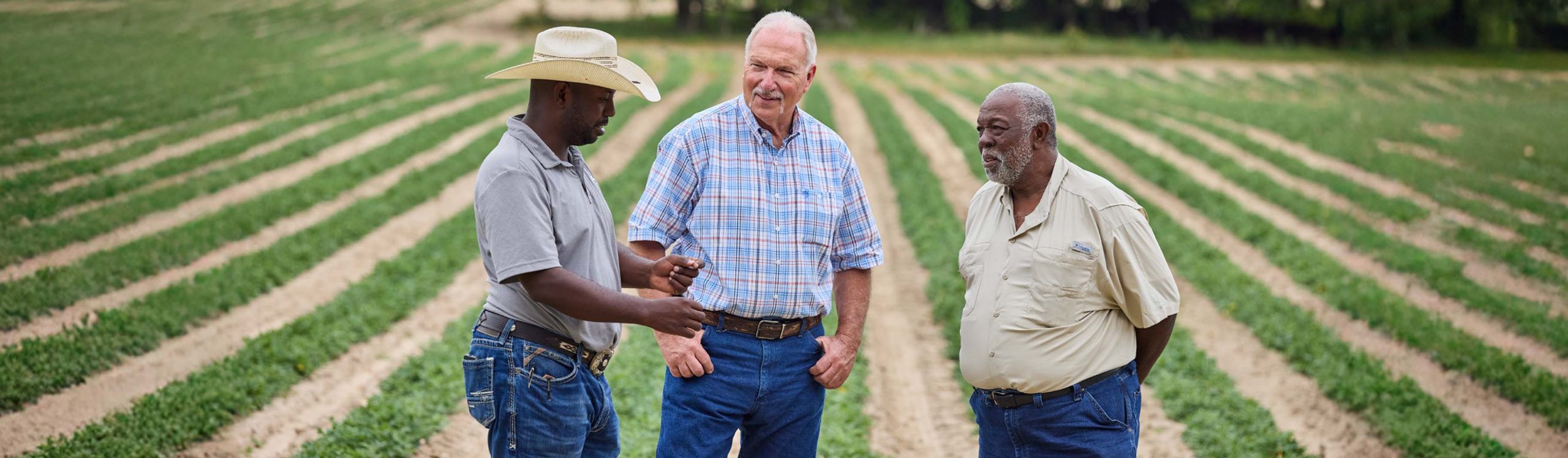 Emmanuel Bankston, Howard Hodge and Steve Welch talking in a field